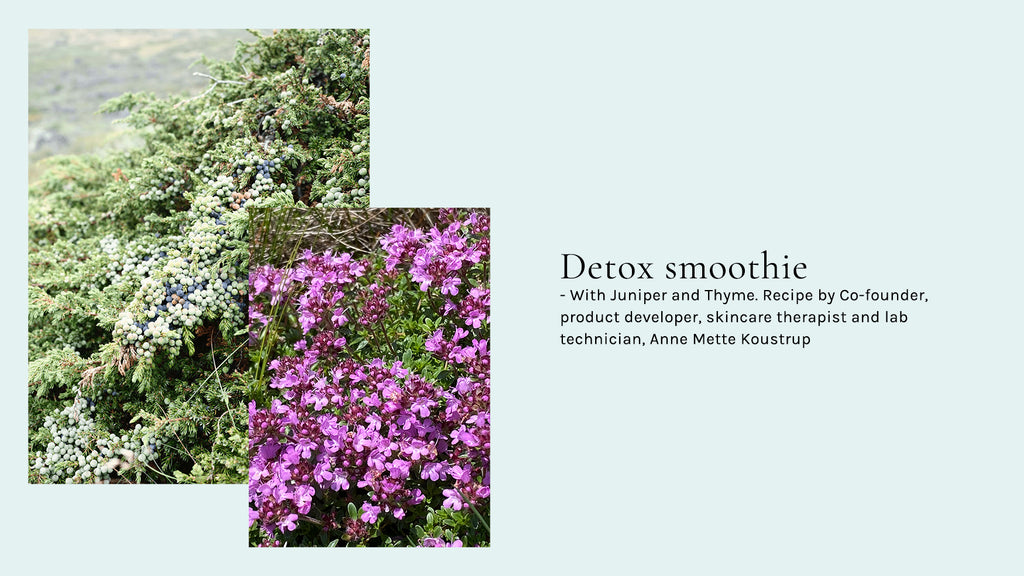 Detox smoothie recipe - by Co-founder, product developer, skincare therapist and lab technician, Anne Mette Koustrup
